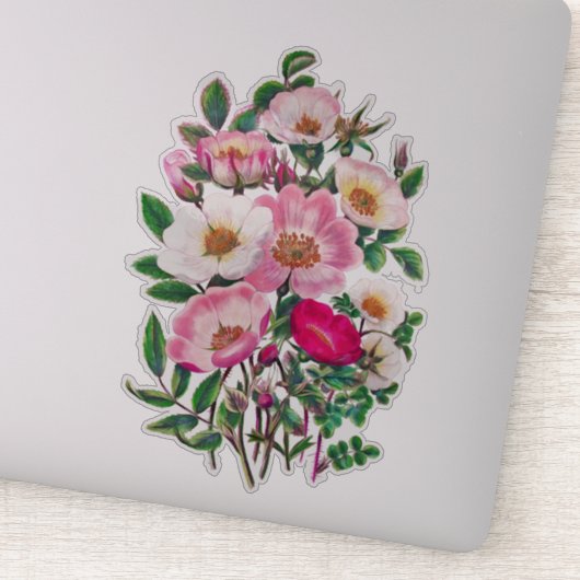 Sticker Bouquet Fleurs Roses sauvages roses et blanches (Détail)