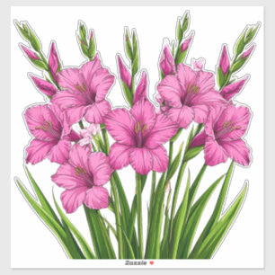 Sticker Bouquet vibrant de glaïeuls roses avec feuillage v