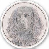 Sticker Boykin Peinture Espagnole - Cute Original Chien Ar (Devant)