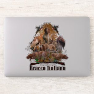 Sticker Bracco Italiano