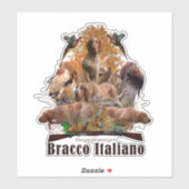 Sticker Bracco Italiano (Feuille)