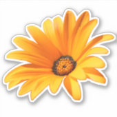 Sticker Bright Orange Cape Daisy (Devant)