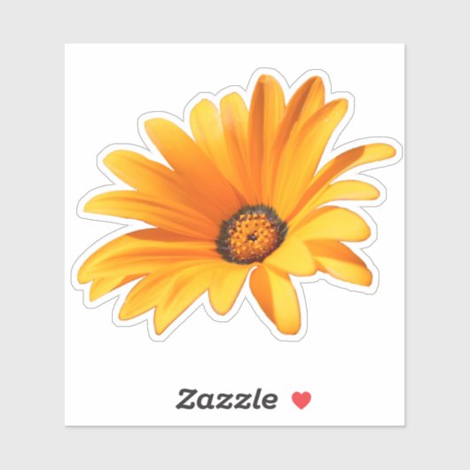 Sticker Bright Orange Cape Daisy (Feuille)