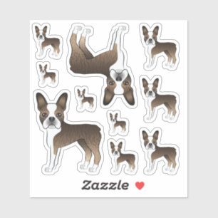 Sticker Brindle Et Blanc Boston Terrier Cute Chiens De Car