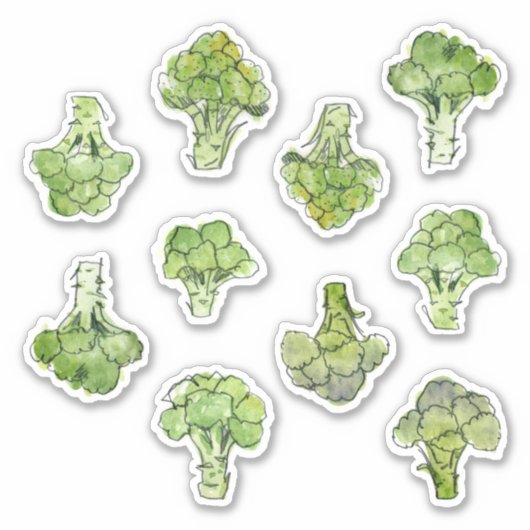 Sticker Brocoli aquarelle (Devant)