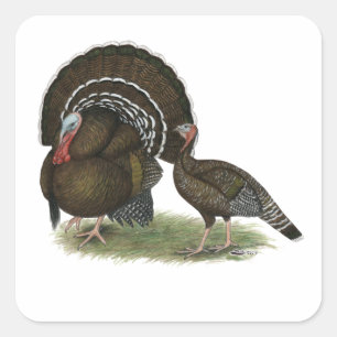 Sticker Bronze standard de Turquie