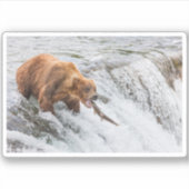 Sticker Brown Bear Catches Red Salmon (Devant)