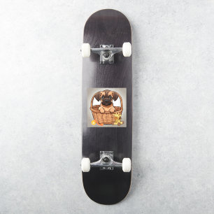 Sticker Brown Tan Dachshund Carlin Chiot assis dans le pan