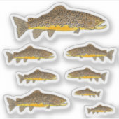 Sticker Brown Trout (Devant)