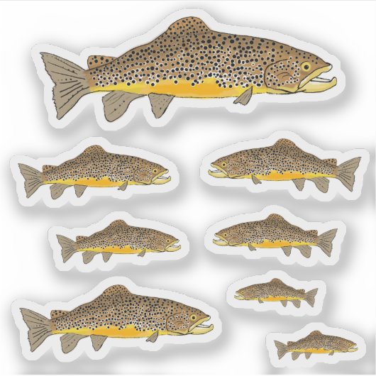 Sticker Brown Trout (Devant)