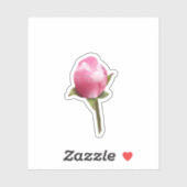 Sticker Bud en fleur d'Apple (Feuille)