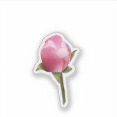 Sticker Bud en fleur d'Apple (Devant)