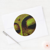 Sticker BUDDHA (Enveloppe)