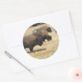 Sticker Buffalo Yellowstone (Enveloppe)