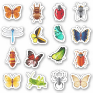 Sticker Bugs et scrapbook papillon