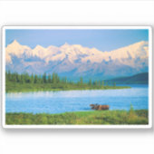 Sticker Bull moose in Wonder Lake (Devant)