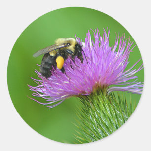 Sticker Bumblebee