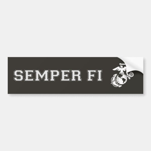 Sticker Bumpern (Devant)
