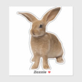 Sticker Bunny Brown (Feuille)