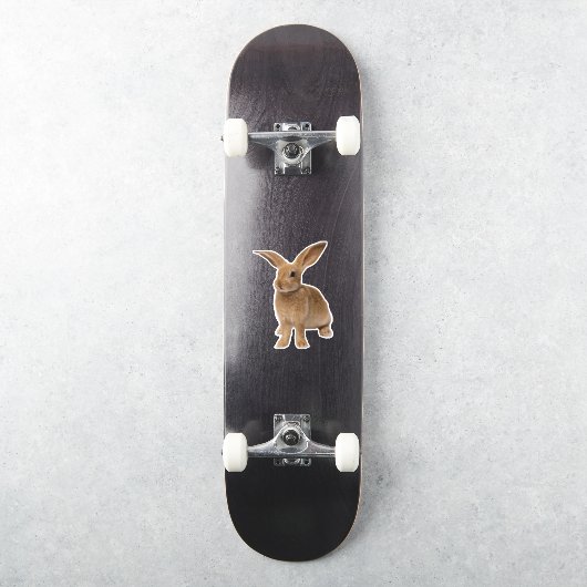 Sticker Bunny Brown (Skateboard)