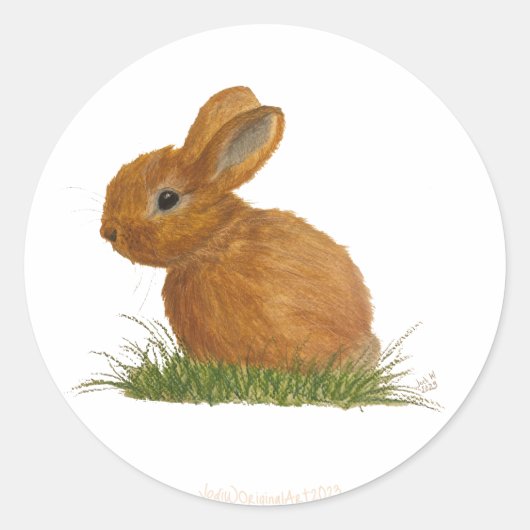 Sticker Bunny Brown (Devant)
