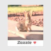 Sticker bunny rabbit photo Easter spring (Feuille)