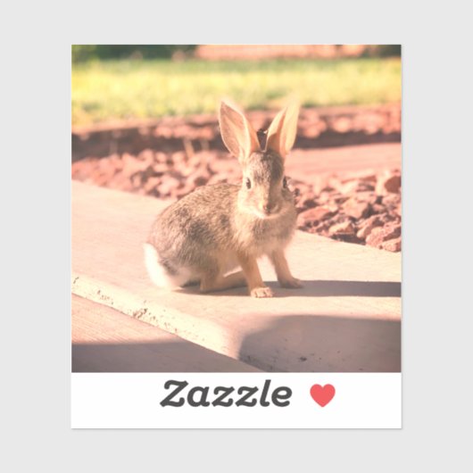 Sticker bunny rabbit photo Easter spring (Feuille)