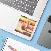 Sticker bunny rabbit photo Easter spring (Ordinateur portable avec iPhone)