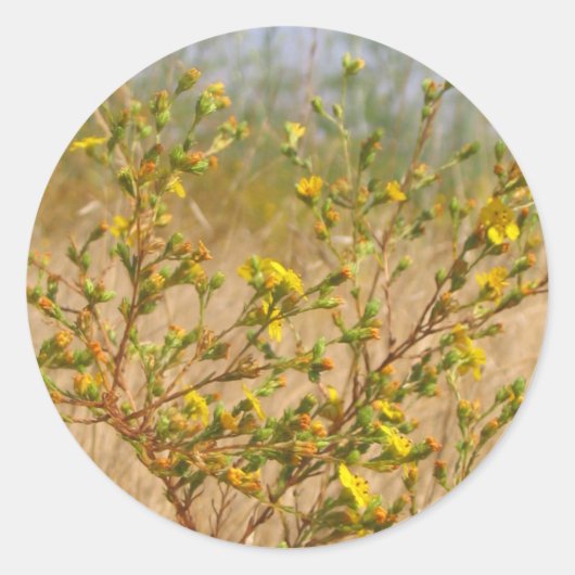 Sticker Bush Fleurs Jaunes (Devant)