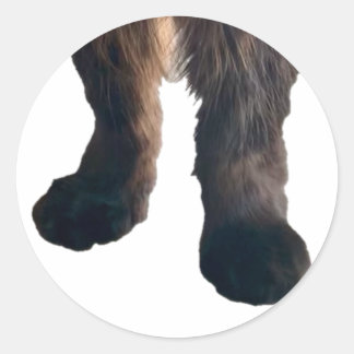 Sticker Buster - Pieds!