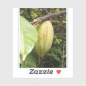 Sticker cabosse de cacao (Feuille)