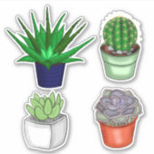 Sticker Cactus à main et succulents (Devant)