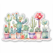 Cactus Et Succulents En Pots Colorés