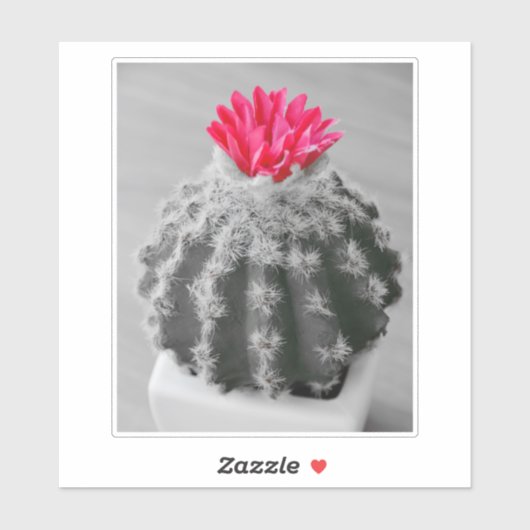 Sticker Cactus Plante noir blanc photo avec Fleur rose (Feuille)