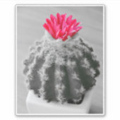Sticker Cactus Plante noir blanc photo avec Fleur rose (Devant)