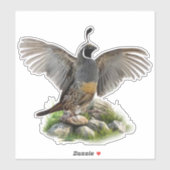 Sticker Caille de Californie (Feuille)