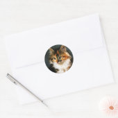 Sticker-Calico Kitten Ronde Sticker (Envelop)