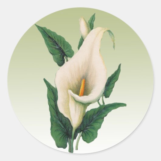 Sticker Calla Lilies (Devant)