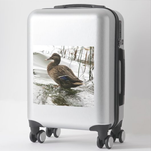 Sticker Canard gris sur la nuit du lac (Sur valise)
