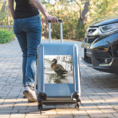 Sticker Canard gris sur la nuit du lac (Valise Insitu)