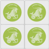 Sticker Capricorn, Zodiac Sign, Horoscope, Astrology (Devant)
