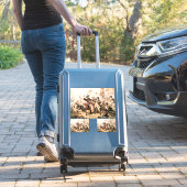 Sticker Capture, Barbe noire pirate, Revenge de la reine A (Valise Insitu)