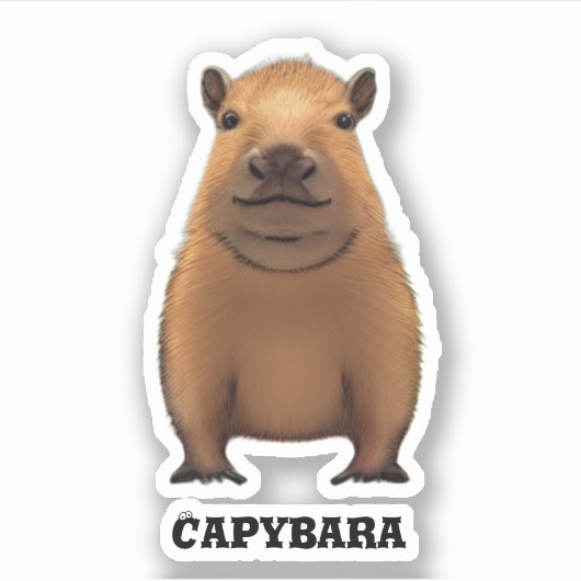 Sticker Capybara (Devant)