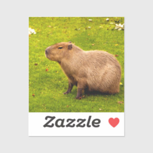 Sticker Capybara