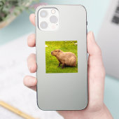 Sticker Capybara (Téléphone)