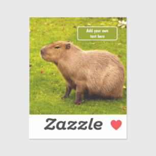 Sticker Capybara personnalisé