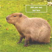 Sticker Capybara personnalisé (Recto)