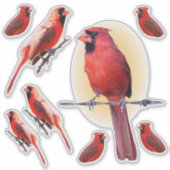 Sticker Cardinal (Devant)