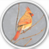 Sticker Cardinal sur une branche - Peinture originale d'oi (Devant)