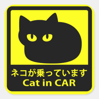 STICKER CARRÉ ステッカー　「ネコが乗っています」イエロー